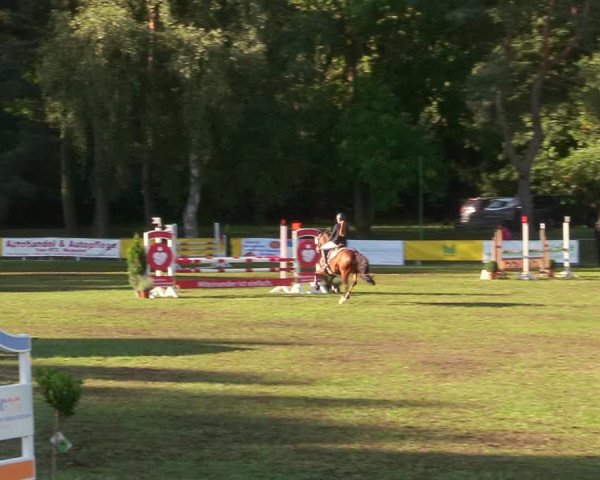 Reitturnier Pasewalk 2020