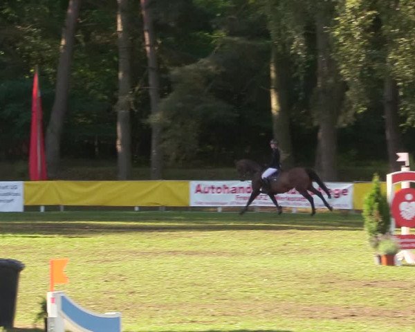 Reitturnier Pasewalk 2020