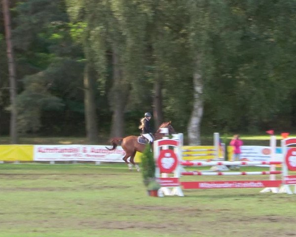 Reitturnier Pasewalk 2020
