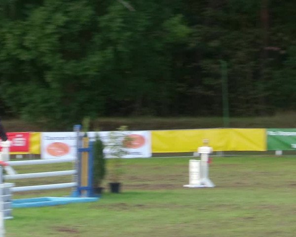 Reitturnier Pasewalk 2020