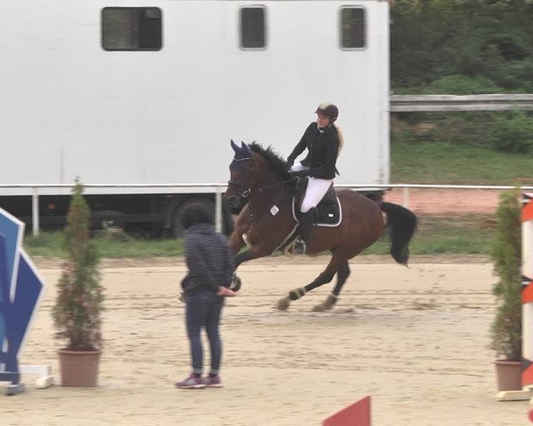 Reitturnier Heiligenwald 2020