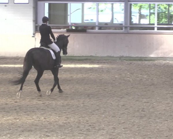 Reitturnier Ahaus 2020