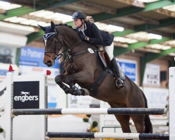 broodmare Luna 1627 (Westphalian, 2006, from Luxius)