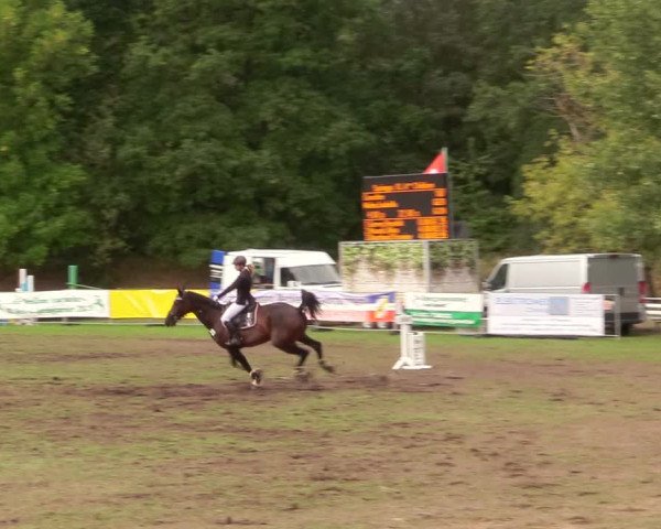 Reitturnier Pasewalk 2020