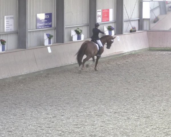 Reitturnier Ahaus 2020