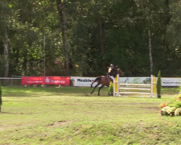 Reitturnier Pasewalk 2020