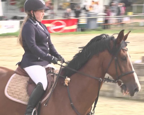 Reitturnier Heiligenwald 2020