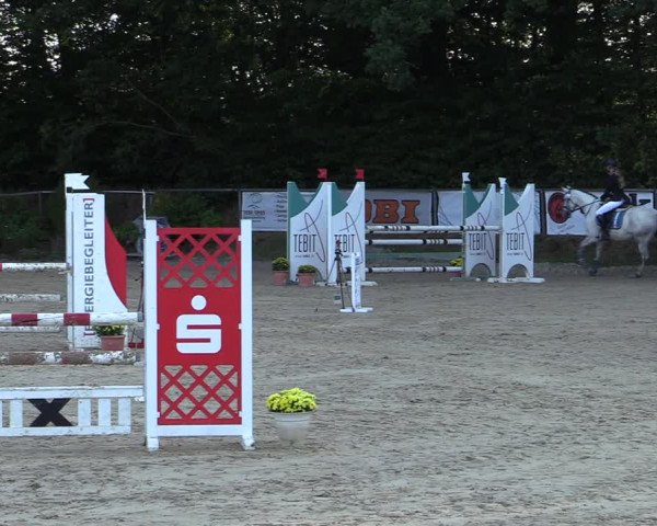 Reitturnier Meinerzhagen 2020