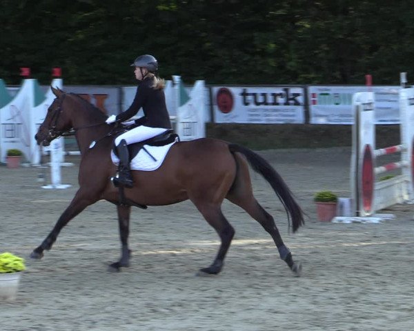 Reitturnier Meinerzhagen 2020