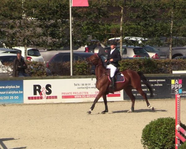 Belgisch Kampioenschap 4-5 Jarigen Paarden