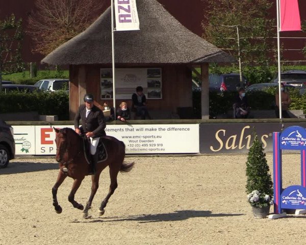 Belgisch Kampioenschap 4-5 Jarigen Paarden