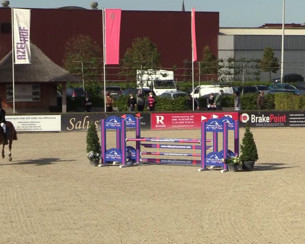 Belgisch Kampioenschap 4-5 Jarigen Paarden