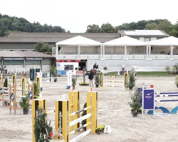 Reitturnier Humlikon 2020