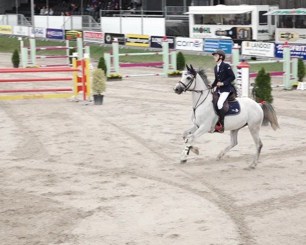 Reitturnier Humlikon 2020