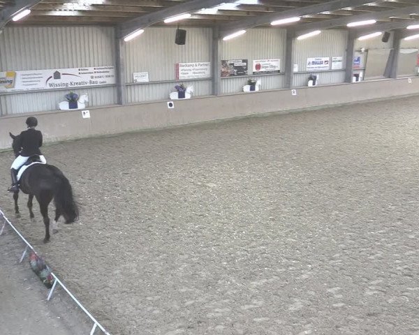 Reitturnier Ahaus 2020