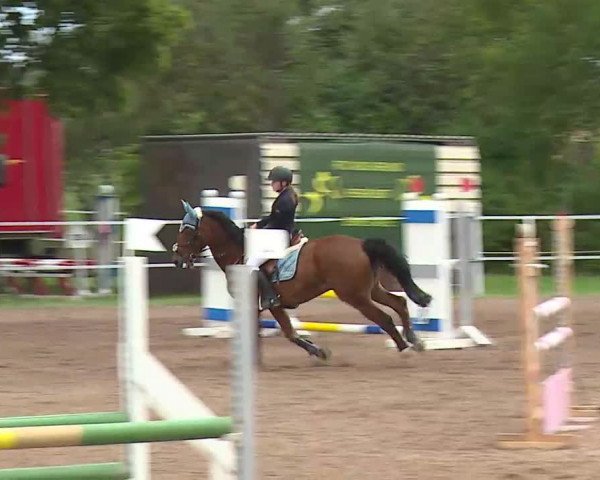 Reitturnier Demantsfürth/Mfr. 2020