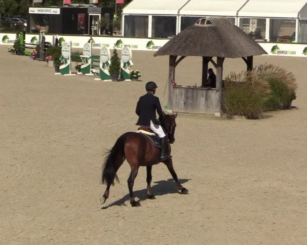 Belgisch Kampioenschap 4-5 Jarigen Paarden