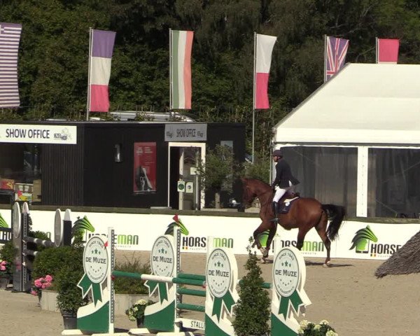 Belgisch Kampioenschap 4-5 Jarigen Paarden