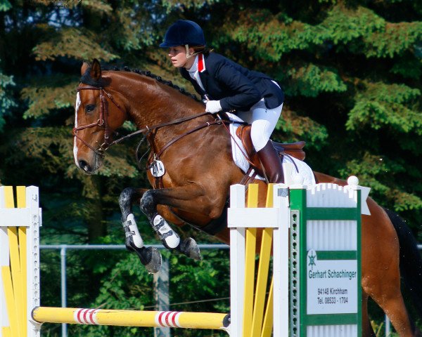 broodmare Chila HaB (Bavarian, 2009, from Lentigo)