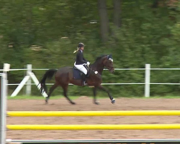 Reitturnier Demantsfürth/Mfr. 2020