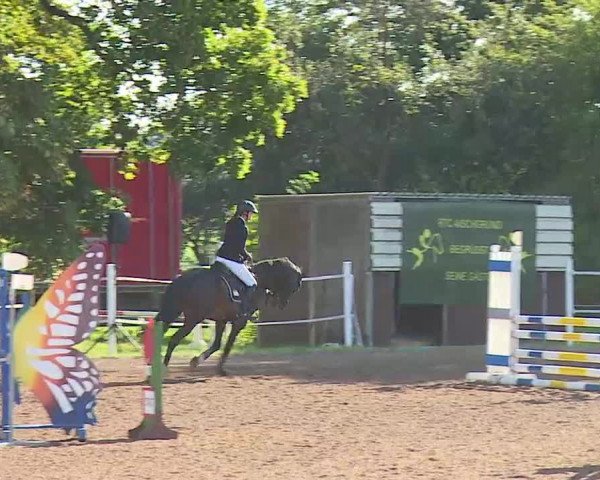 Reitturnier Demantsfürth/Mfr. 2020