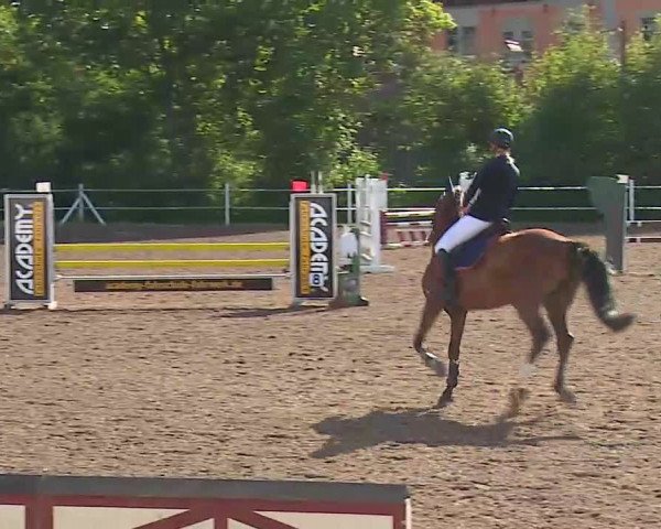 Reitturnier Demantsfürth/Mfr. 2020