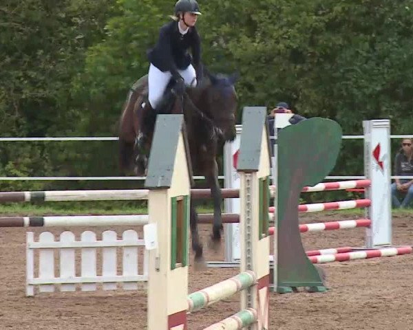 Reitturnier Demantsfürth/Mfr. 2020