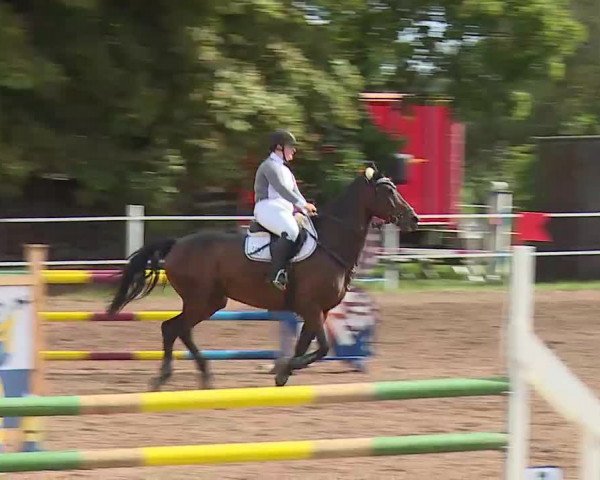Reitturnier Demantsfürth/Mfr. 2020
