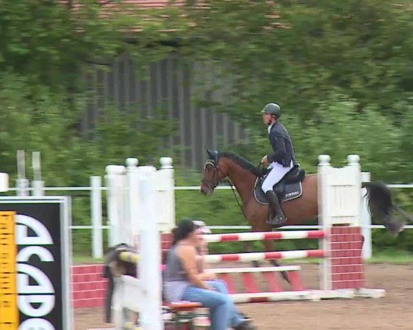 Reitturnier Demantsfürth/Mfr. 2020