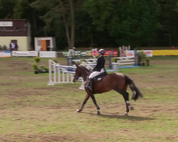 Reitturnier Pasewalk 2020