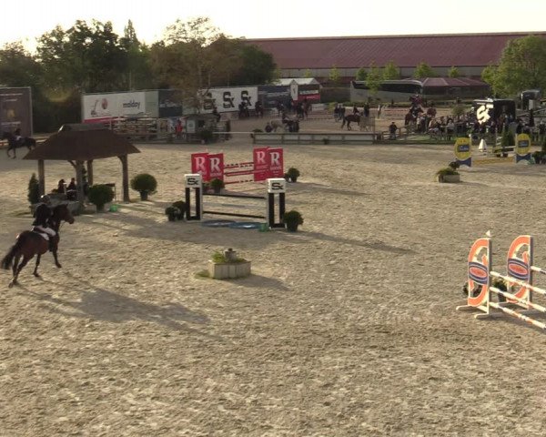 Gouden Laars - Azelhof - Lier 2020