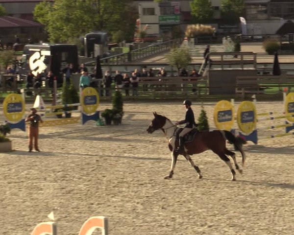 Gouden Laars - Azelhof - Lier 2020