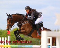broodmare Calanda 41 (Hanoverian, 2007, from Calido I)
