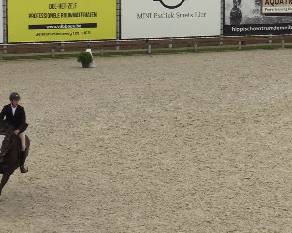 Gouden Laars - Azelhof - Lier 2020