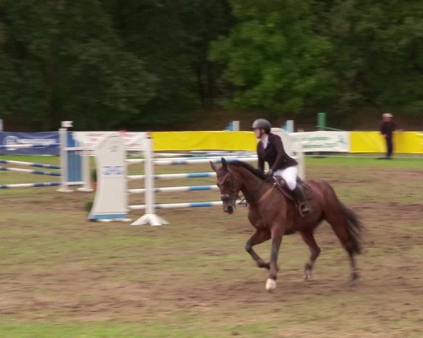 Reitturnier Pasewalk 2020