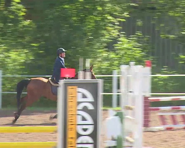Reitturnier Demantsfürth/Mfr. 2020