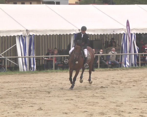 Reitturnier Heiligenwald 2020