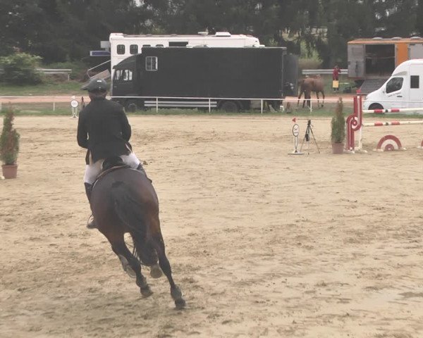 Reitturnier Heiligenwald 2020