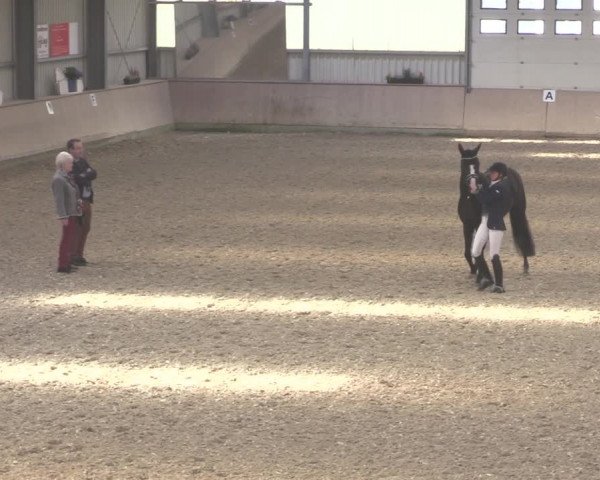 Reitturnier Ahaus 2020