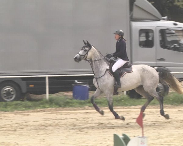 Reitturnier Heiligenwald 2020