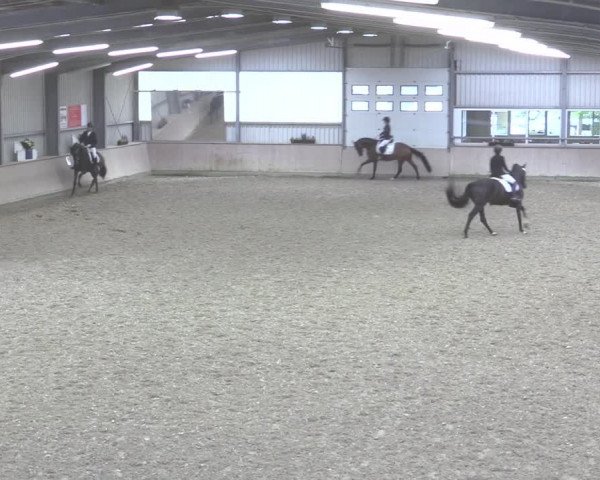Reitturnier Ahaus 2020