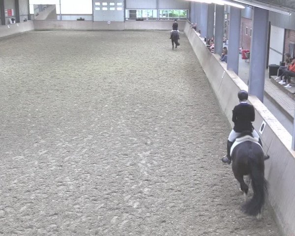 Reitturnier Ahaus 2020