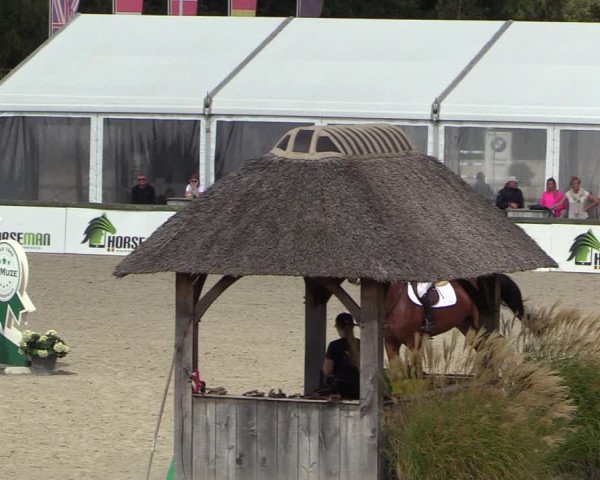 Belgisch Kampioenschap 4-5 Jarigen Paarden