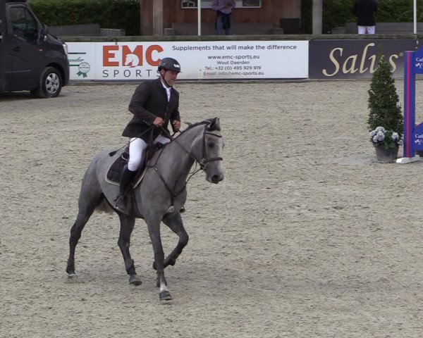 Belgisch Kampioenschap 4-5 Jarigen Paarden