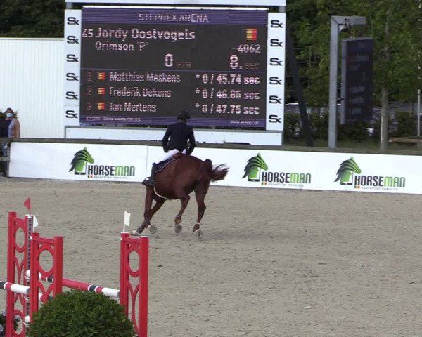Belgisch Kampioenschap 4-5 Jarigen Paarden