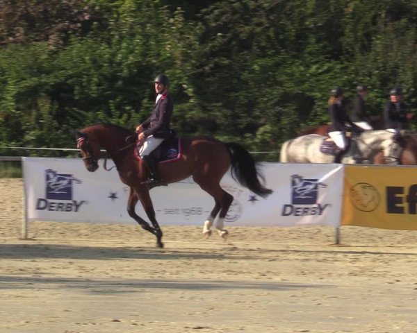 Reitturnier Ascheberg 2021