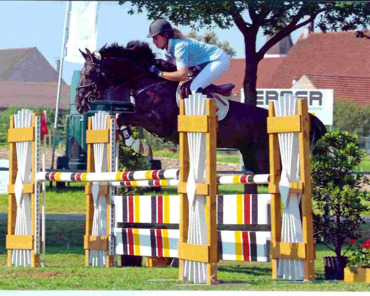 horse Giuliano 6 (Hanoverian, 1999, from Graf Grannus)