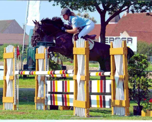 horse Giuliano 6 (Hanoverian, 1999, from Graf Grannus)