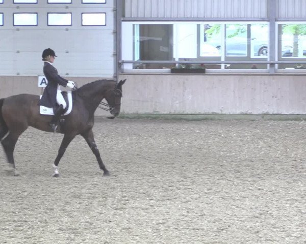 Reitturnier Ahaus 2020