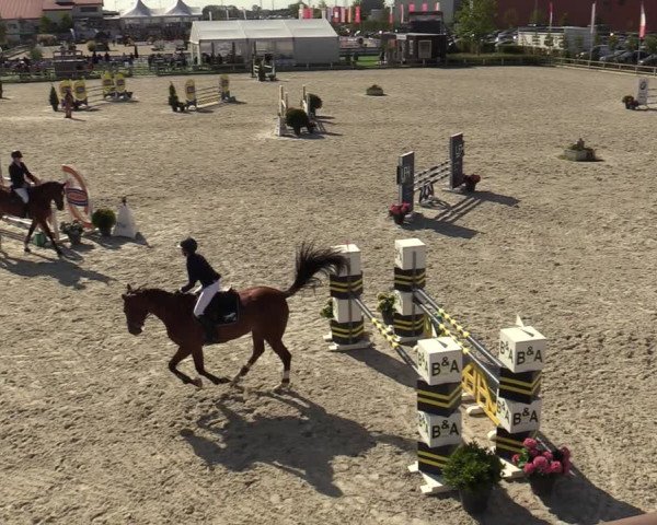 Gouden Laars - Azelhof - Lier 2020